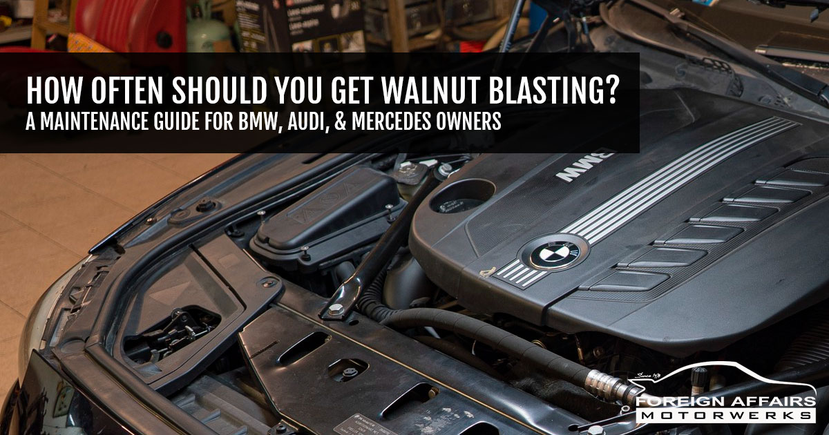 walnut blasting